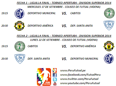 Programación - Fecha 1 y 2 - Liguilla Final - Apertura - Div. Superior 2014